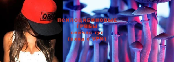спиды Арсеньев