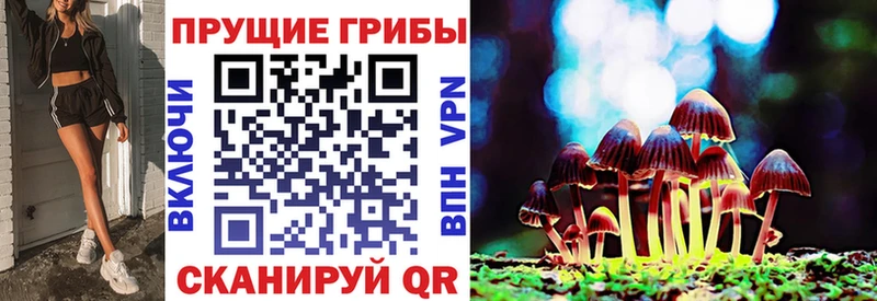 где можно купить наркотик  мега рабочий сайт  Псилоцибиновые грибы мицелий  Новокузнецк 