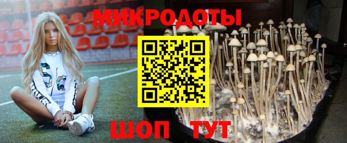 Псилоцибиновые грибы Cubensis Новокузнецк
