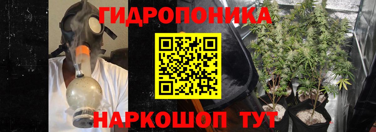 Конопля Bruce Banner  Вход с VPN  Новокузнецк  Шишки марихуана индика 